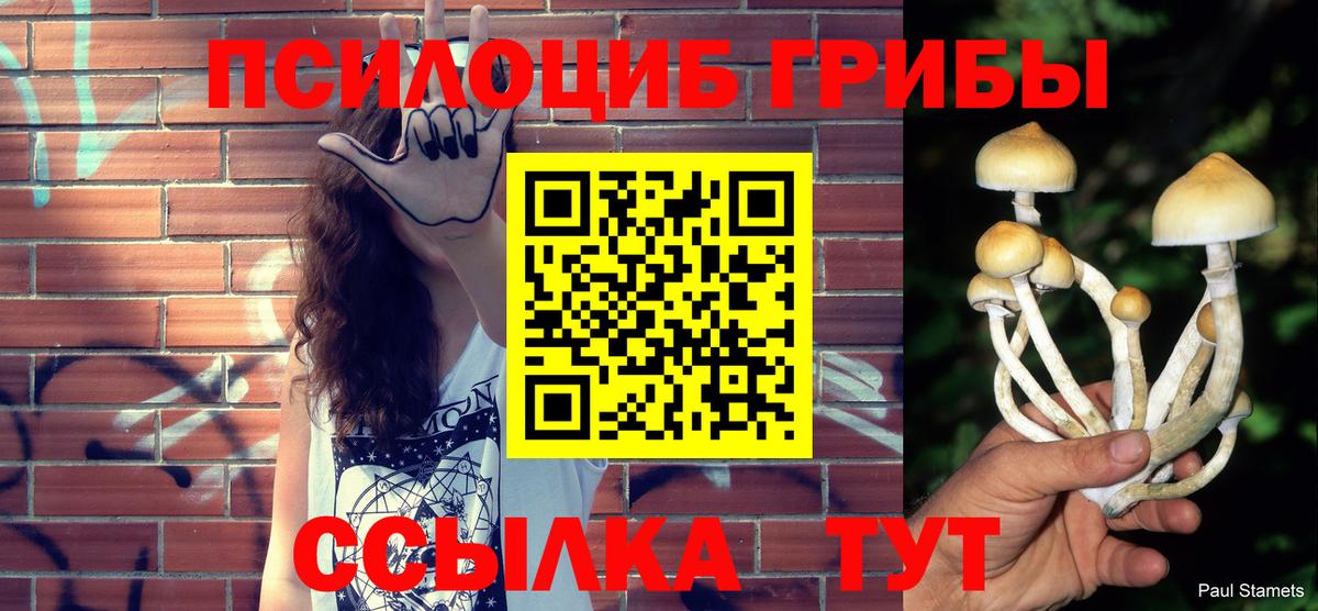 Галлюциногенные грибы Magic Shrooms  Вход с VPN  Спасск-Дальний 